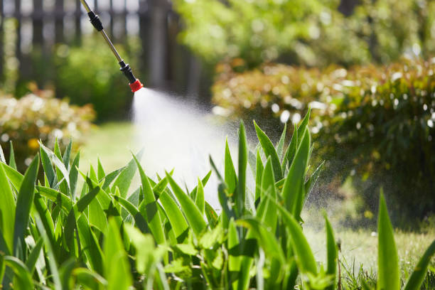 24/7 Emergency Mosquito Control experts in Corbin, KY