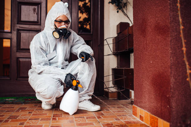 Reliable Mosquito Control contractor in Corbin, KY by Show Me Pest Control